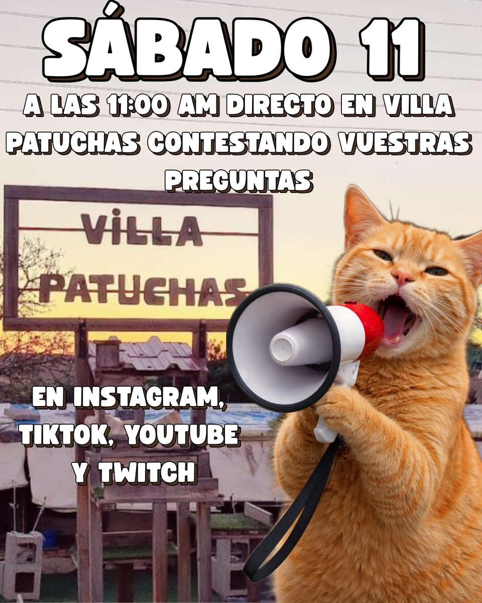 Felinos lo Morant tweet media