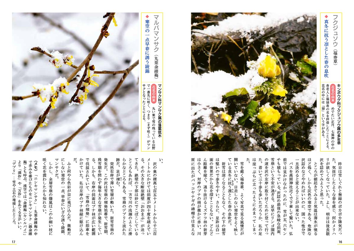 onoprint's tweet photo. 『岩木山・花の山旅』
著者：三浦章男

https://t.co/i0HDjdzTjo

#青森 #弘前 #出版 #エッセイ #書籍紹介 https://t.co/SJwriOswRZ