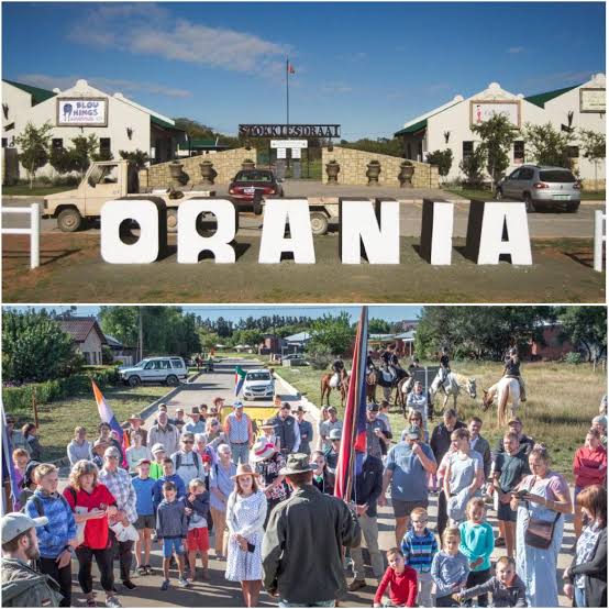 Not Elon Musk tweet media