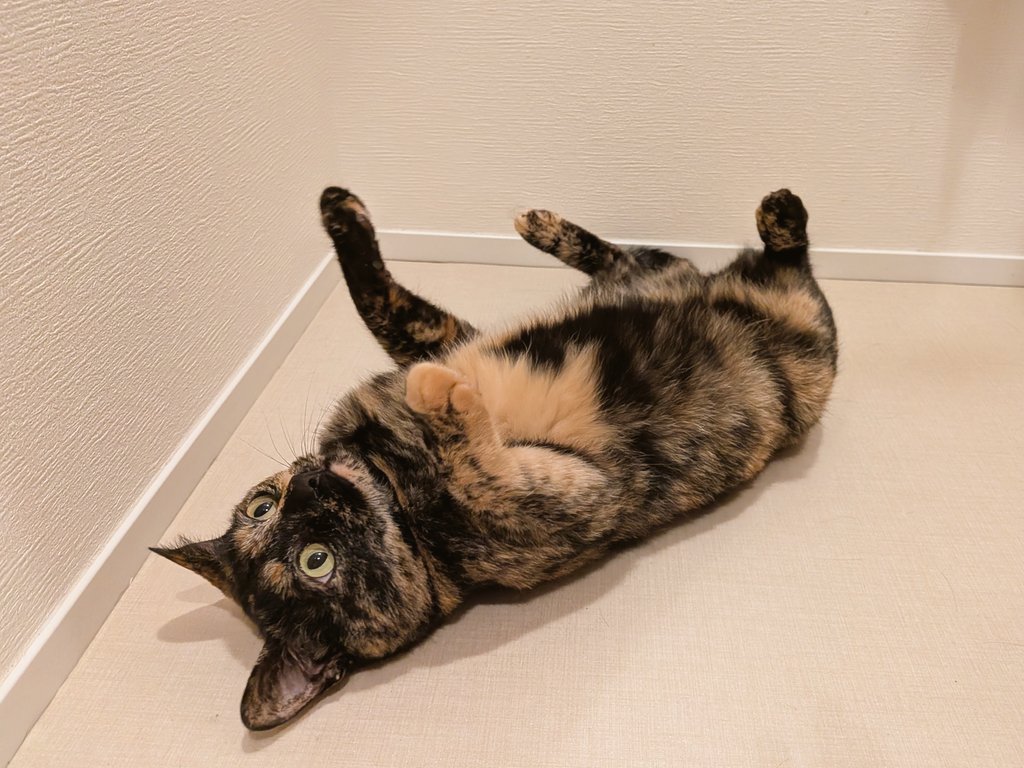 唐揚げおいしく tweet media