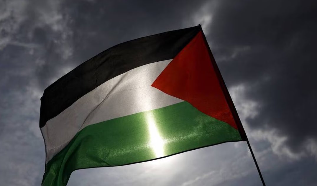 Gaalli 🏳️🌈 tweet media