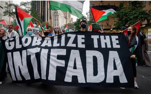 Gaalli 🏳️🌈 tweet media