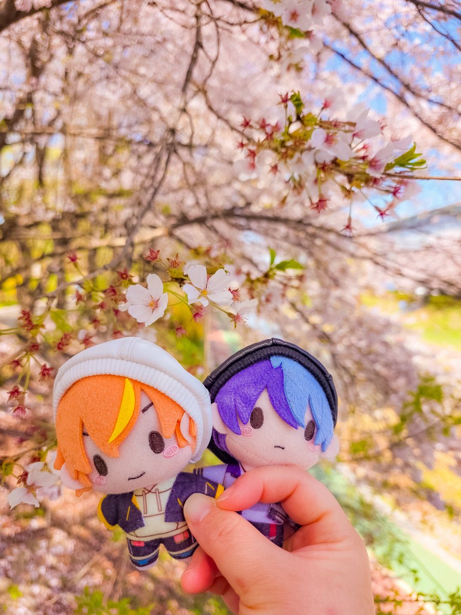 리피(RiPHi) tweet media