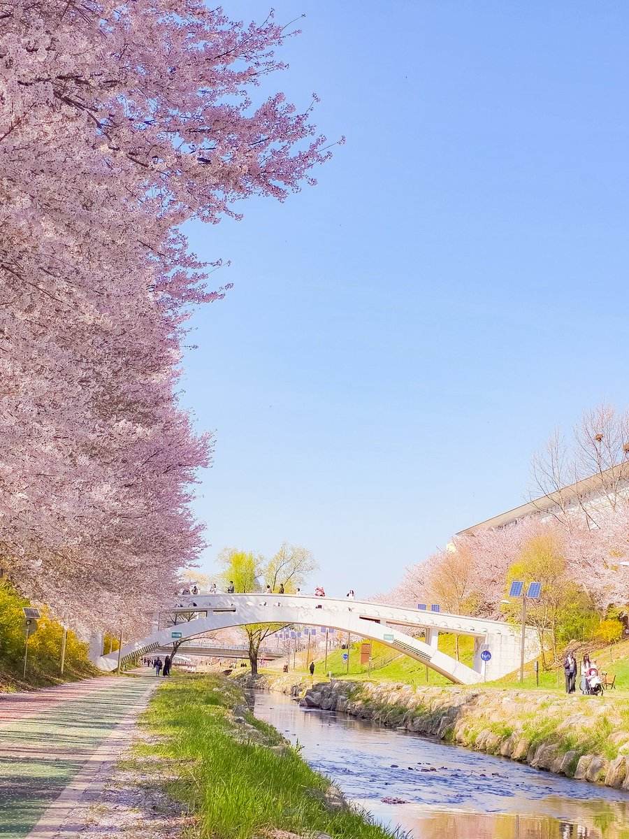 리피(RiPHi) tweet media