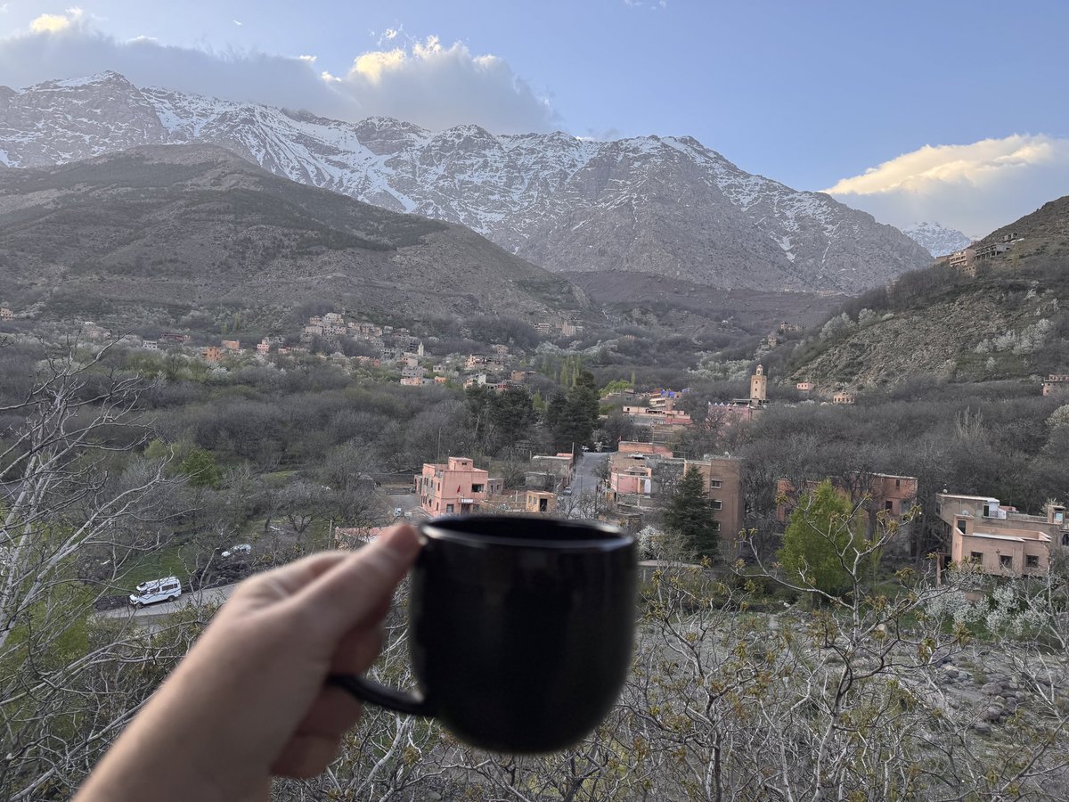 alice morrison tweet media