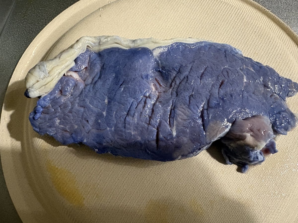 takesankamo's tweet image. Hey American bros! 🇯🇵🥩

Bought 3kg meat and made two weird experiments:
- Vitamin B2 glowing steak (lights up under blacklight!)
- Butterfly pea tea blue steak

They look crazy... but both taste completely normal 😂

Would you try? Drop your real American BBQ pics! 🔥🟦

#Steak