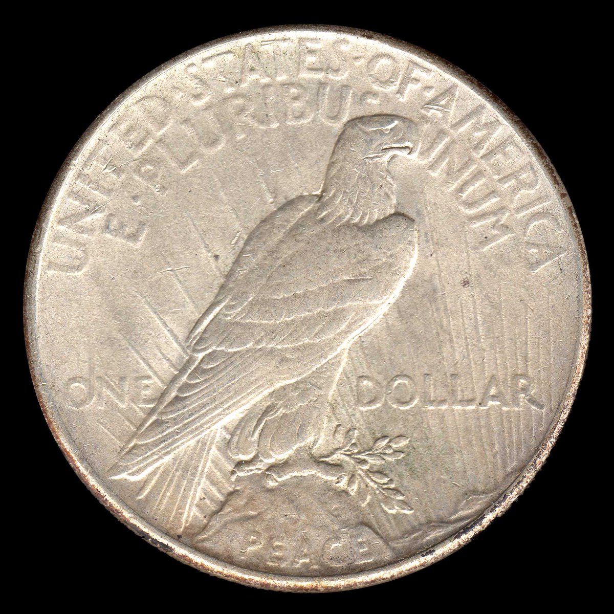 rocketdog632's tweet photo. A 1925 Peace Dollar designed by Anthony de Francisci based on his wife Teresa de Francisco. Is one of the most attractive silver dollars produced by the US. 10,198,000 were minted. #Coins #USA https://t.co/7KhDZZWly4