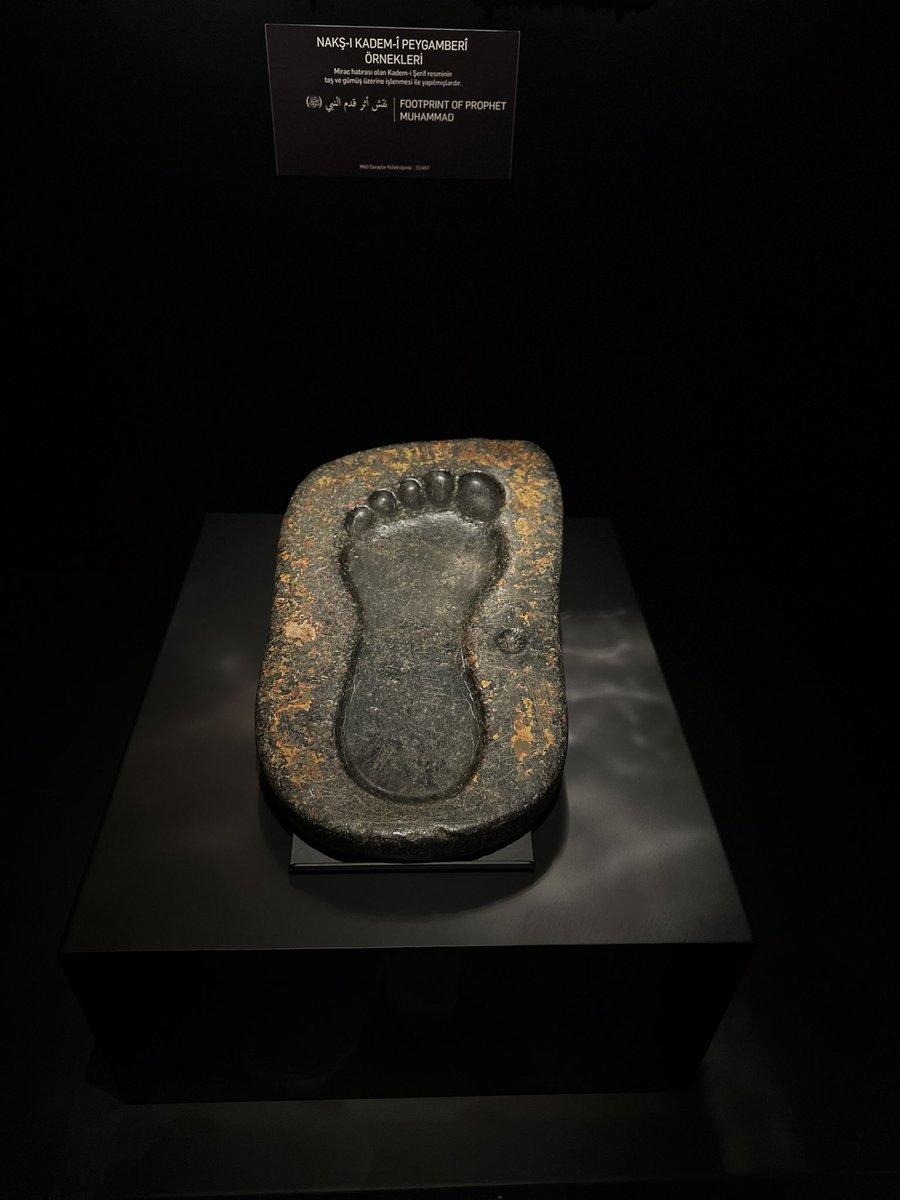 سليمان الضلعان التميمي⚖️ tweet media