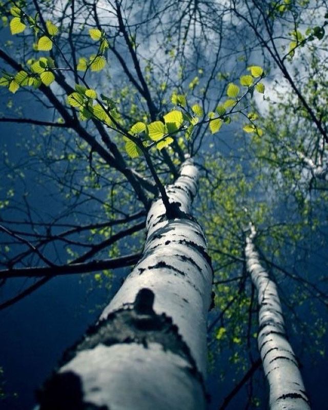 KatanaHugo's tweet image. Good morning my friends !!
#photos #morning #sunrise