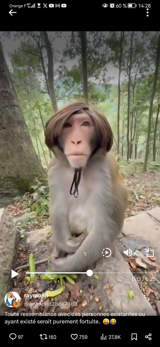 Albert W. tweet media