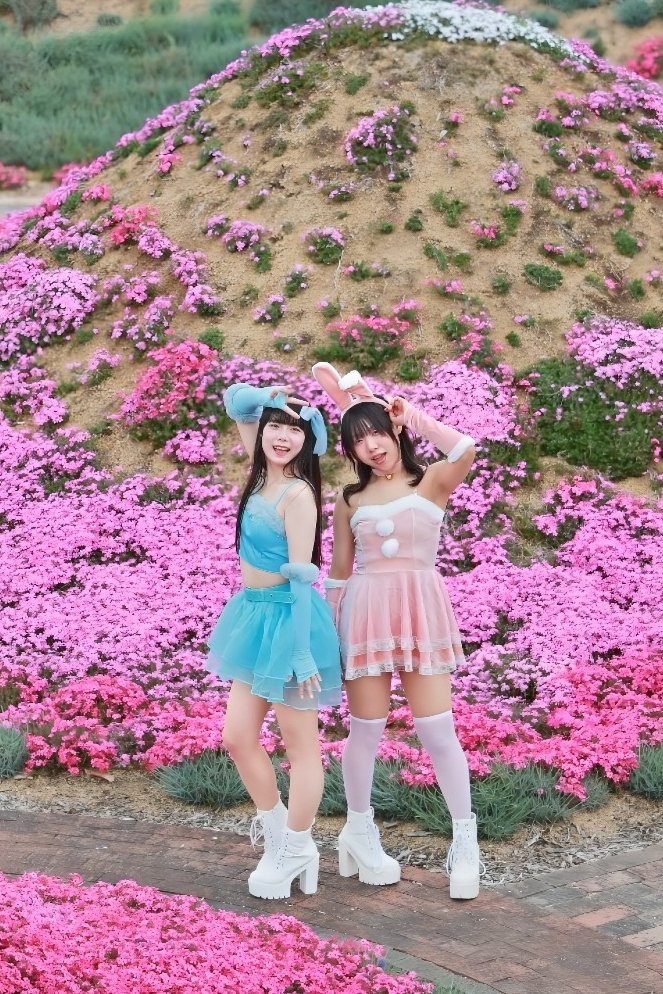 ⌘すっとんだ次郎 tweet media