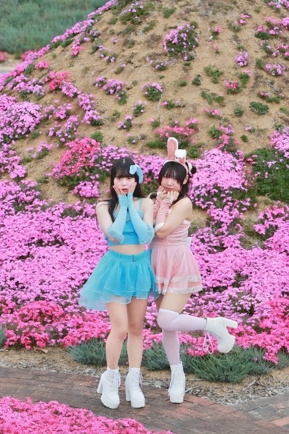 ⌘すっとんだ次郎 tweet media