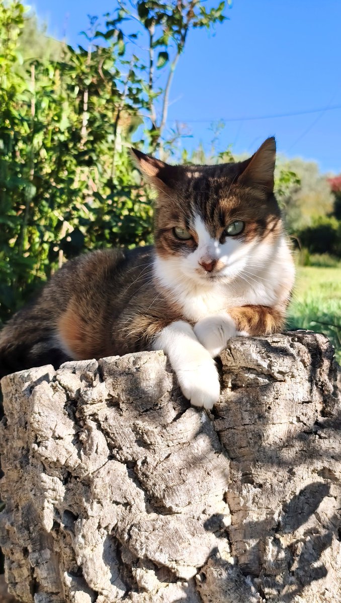 Grotakrout tweet media