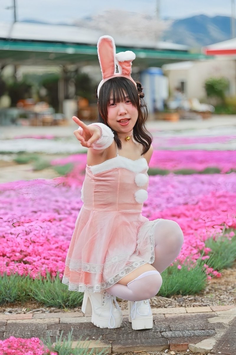 ⌘すっとんだ次郎 tweet media