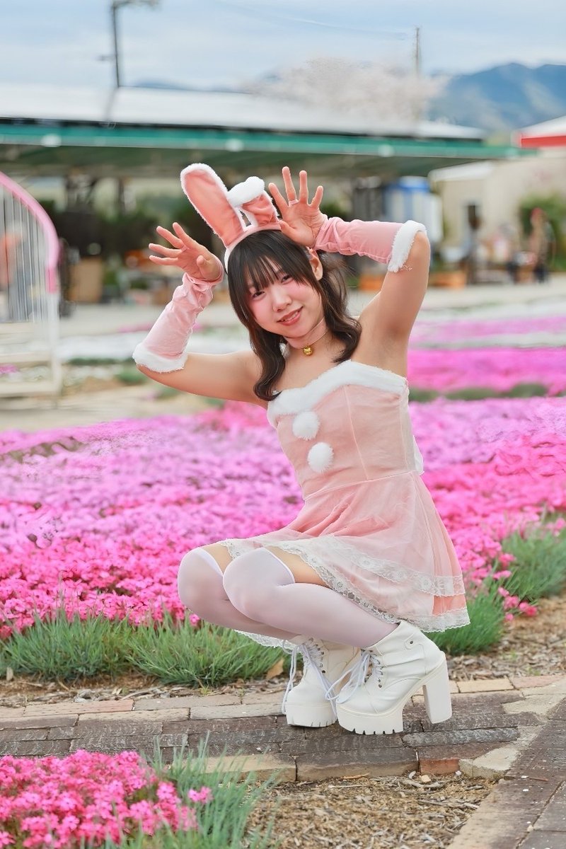 ⌘すっとんだ次郎 tweet media