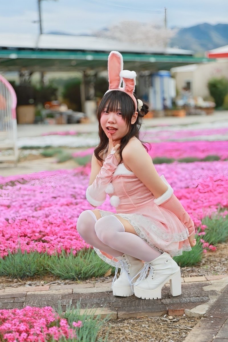 ⌘すっとんだ次郎 tweet media