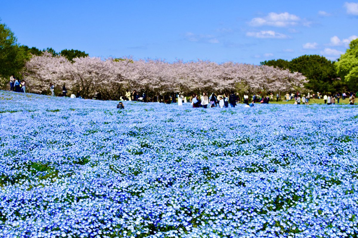 sh39/ゲーム垢🍤 tweet media