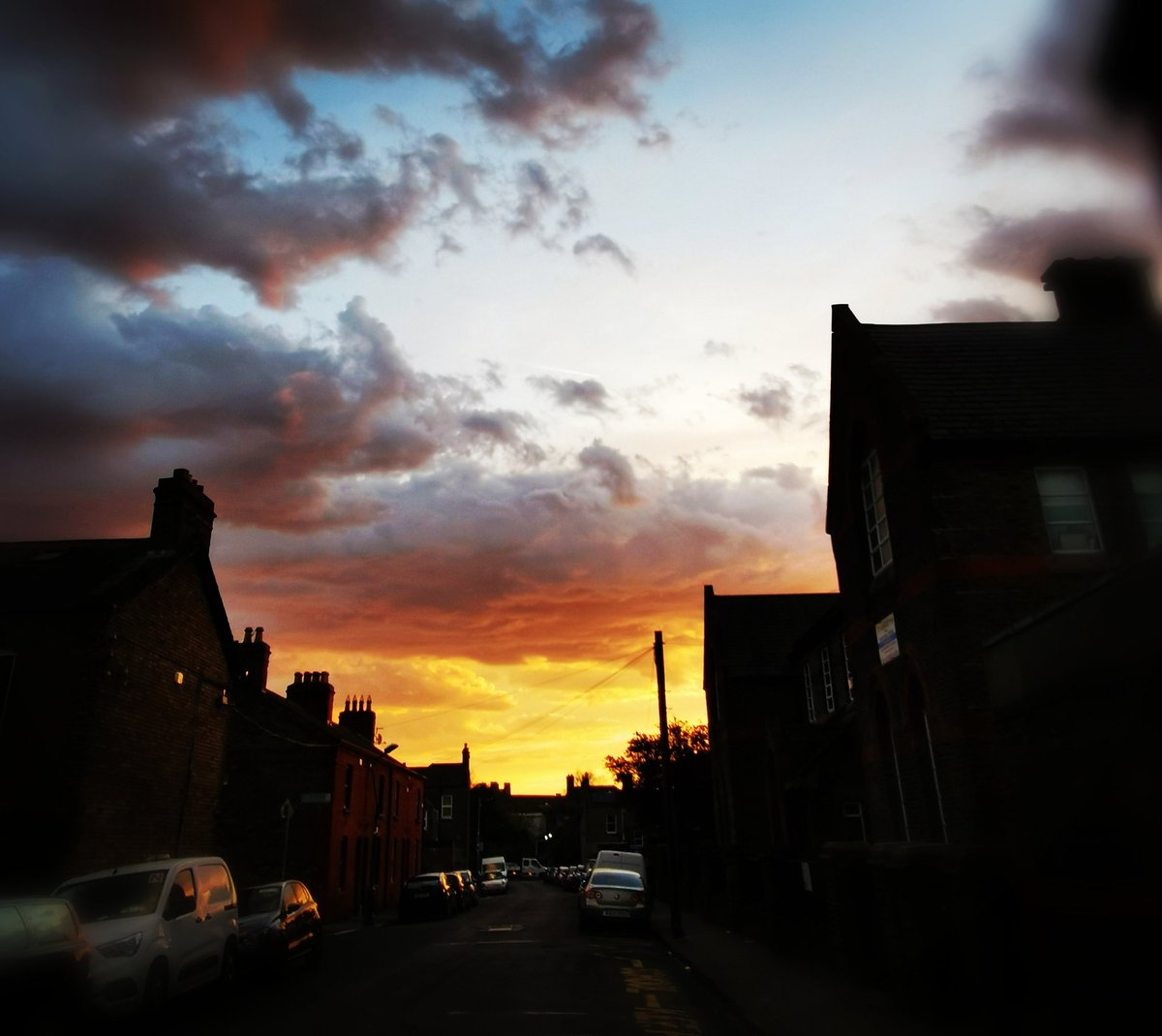 Brenda Malloy 🇮🇪🇵🇸🎶🎶🎶 tweet media