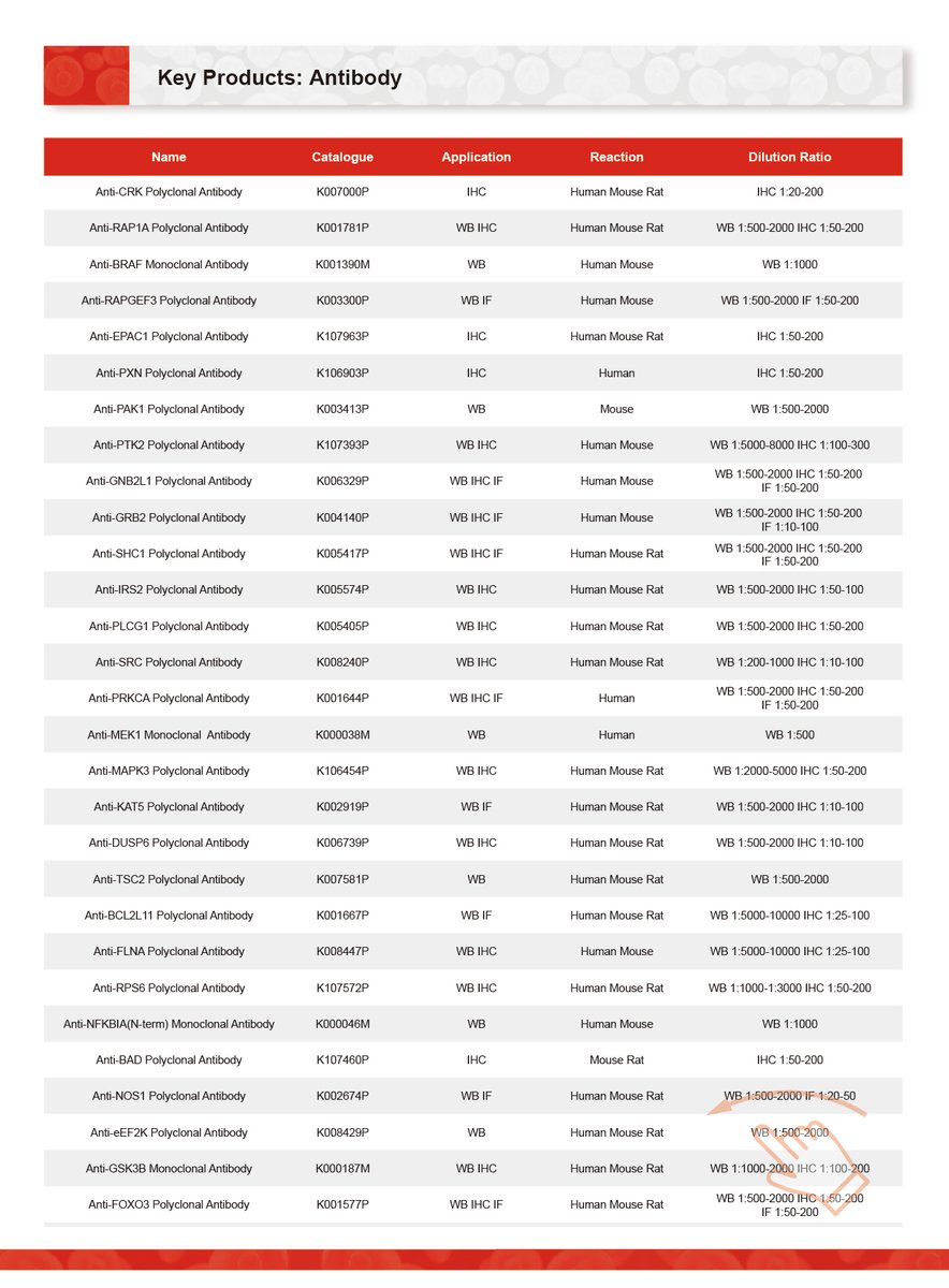 RitaRvenus's tweet image. 𝑴𝑨𝑷𝑲-𝑬𝑹𝑲 𝑺𝒊𝒈𝒏𝒂𝒍𝒊𝒏𝒈 𝑷𝒂𝒕𝒉𝒘𝒂𝒚: 𝑭𝒓𝒐𝒎 𝑺𝒖𝒓𝒇𝒂𝒄𝒆 𝒕𝒐 𝑵𝒖𝒄𝒍𝒆𝒖𝒔

#Pathway #MAPK #ERK #SignalTransduction #CancerResearch #CellBiology #Oncology