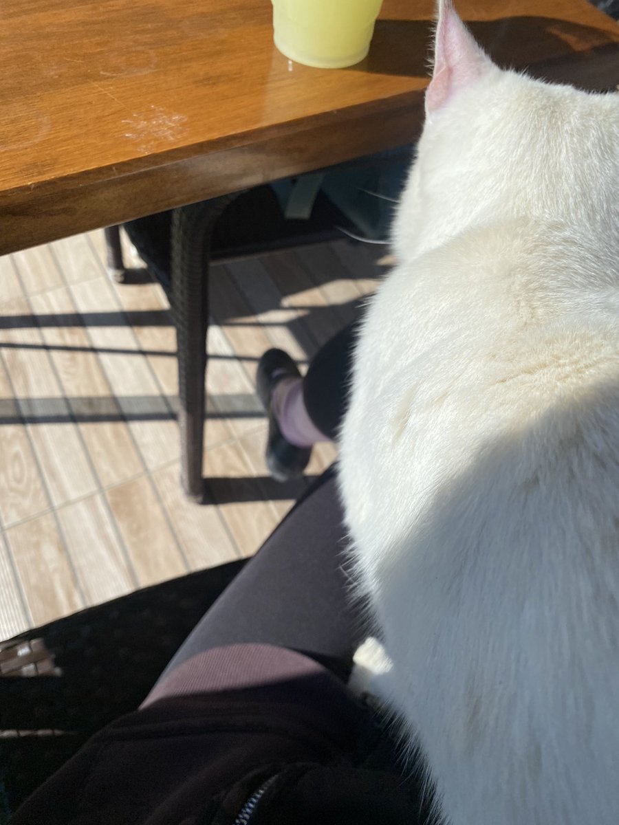 𝕯𝖊𝖗𝖎𝖓 tweet media