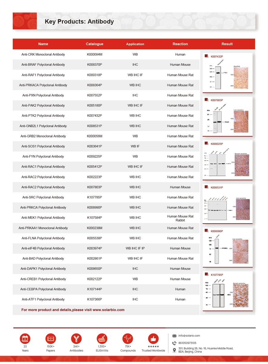 Solarbio2004's tweet image. 𝑴𝑨𝑷𝑲-𝑬𝑹𝑲 𝑺𝒊𝒈𝒏𝒂𝒍𝒊𝒏𝒈 𝑷𝒂𝒕𝒉𝒘𝒂𝒚: 𝑭𝒓𝒐𝒎 𝑺𝒖𝒓𝒇𝒂𝒄𝒆 𝒕𝒐 𝑵𝒖𝒄𝒍𝒆𝒖𝒔

#Pathway #MAPK #ERK #SignalTransduction #CancerResearch #CellBiology #Oncology