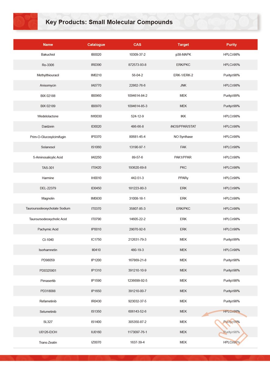 Solarbio2004's tweet image. 𝑴𝑨𝑷𝑲-𝑬𝑹𝑲 𝑺𝒊𝒈𝒏𝒂𝒍𝒊𝒏𝒈 𝑷𝒂𝒕𝒉𝒘𝒂𝒚: 𝑭𝒓𝒐𝒎 𝑺𝒖𝒓𝒇𝒂𝒄𝒆 𝒕𝒐 𝑵𝒖𝒄𝒍𝒆𝒖𝒔

#Pathway #MAPK #ERK #SignalTransduction #CancerResearch #CellBiology #Oncology