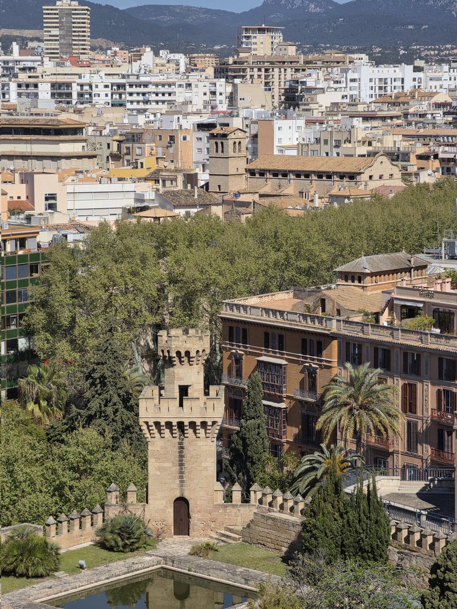 Gary Stanford tweet media