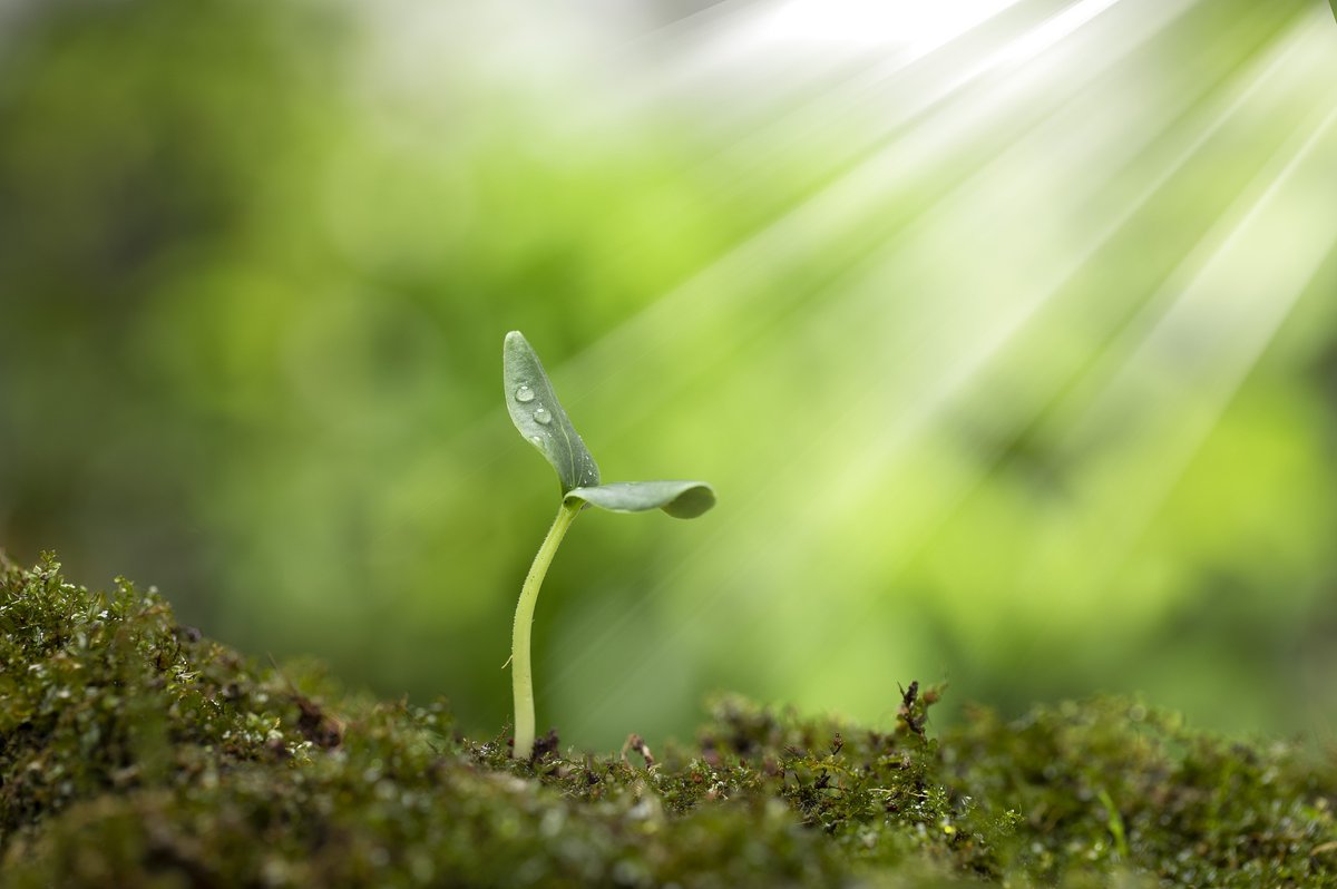 yemi micheal tweet media