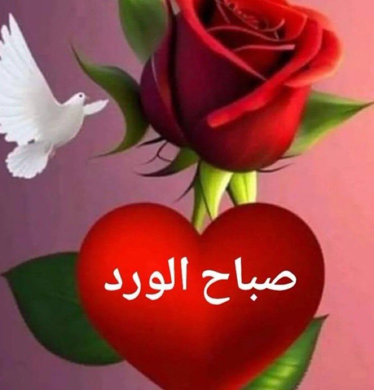 DmlqTf's tweet photo. بلغ معاذير الكلام السلامه
ماعاد لصدور المشاريه قاضي

صديت عن باب العتب والملامه 
حتى لو إن القلب ماهو براضي

نهدي معازيب الجروح ابتسامه
ونقبل بوجه في الحياه افتراضي

النفس لازادت شموخ وكرامه 
يزود مع زود الشموخ التغاضي https://t.co/eP8tFKjXHD