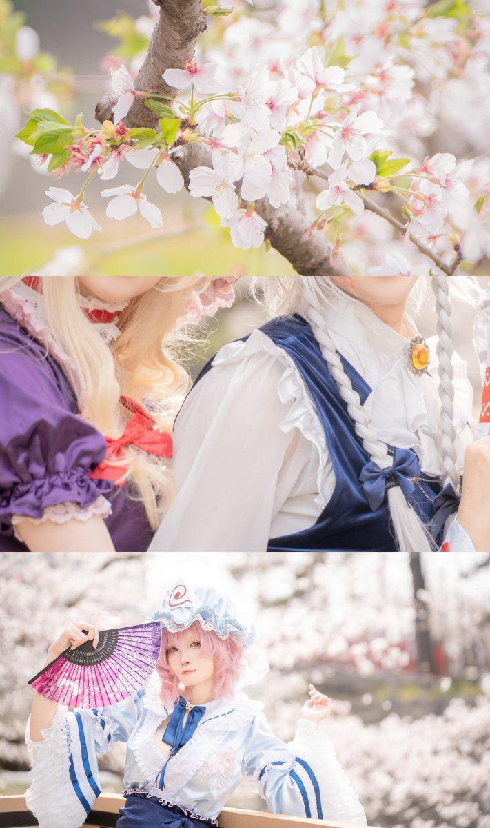 しっぽう🦎予定❌️ tweet media