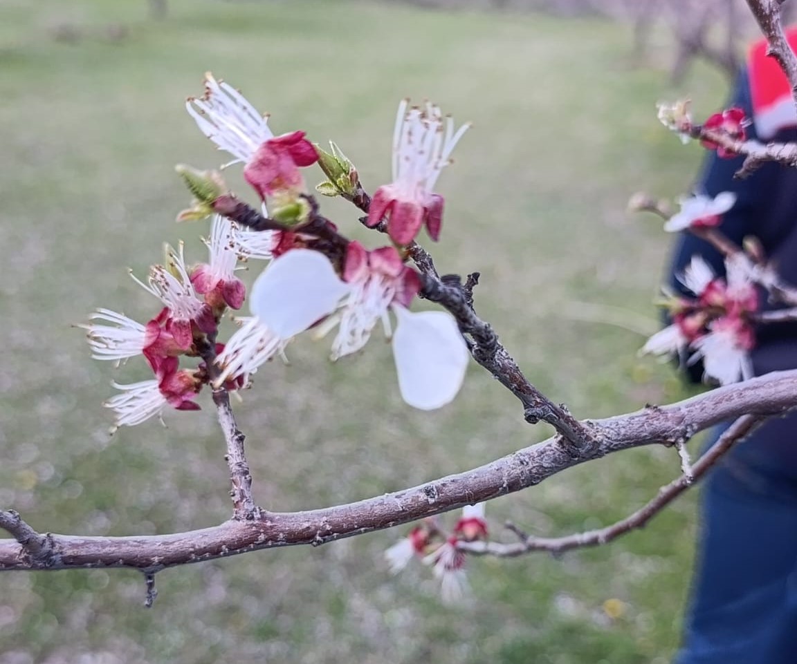 IĞDIR İL TARIM VE ORMAN MÜDÜRLÜĞÜ tweet media