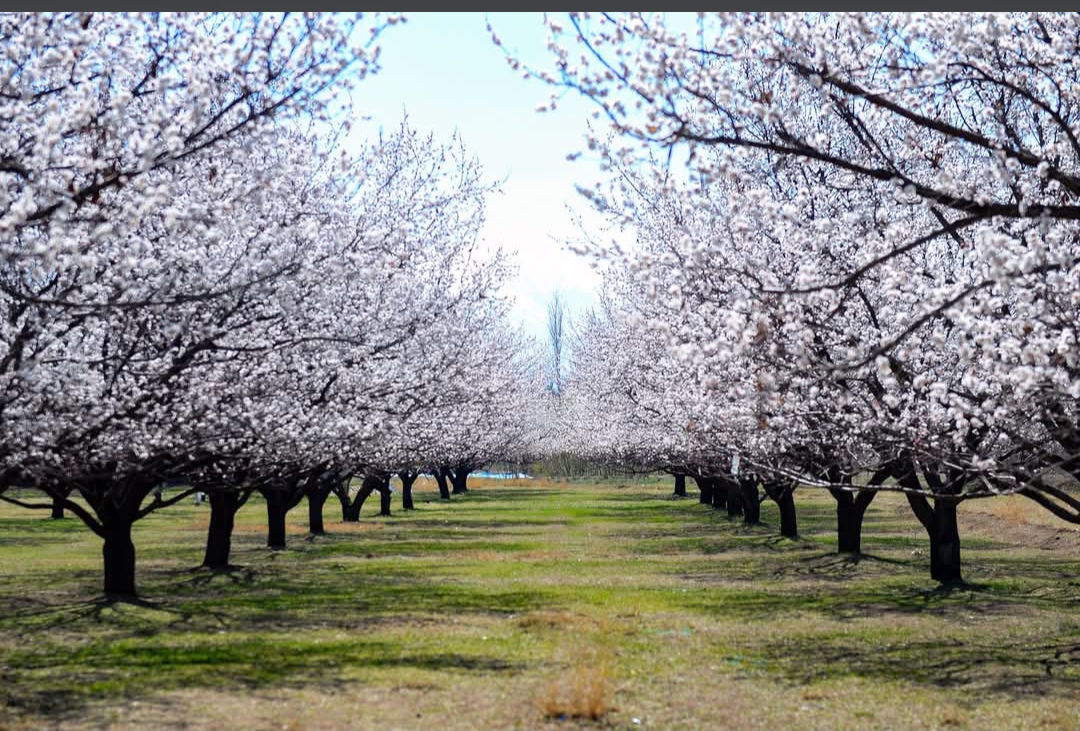 IĞDIR İL TARIM VE ORMAN MÜDÜRLÜĞÜ tweet media