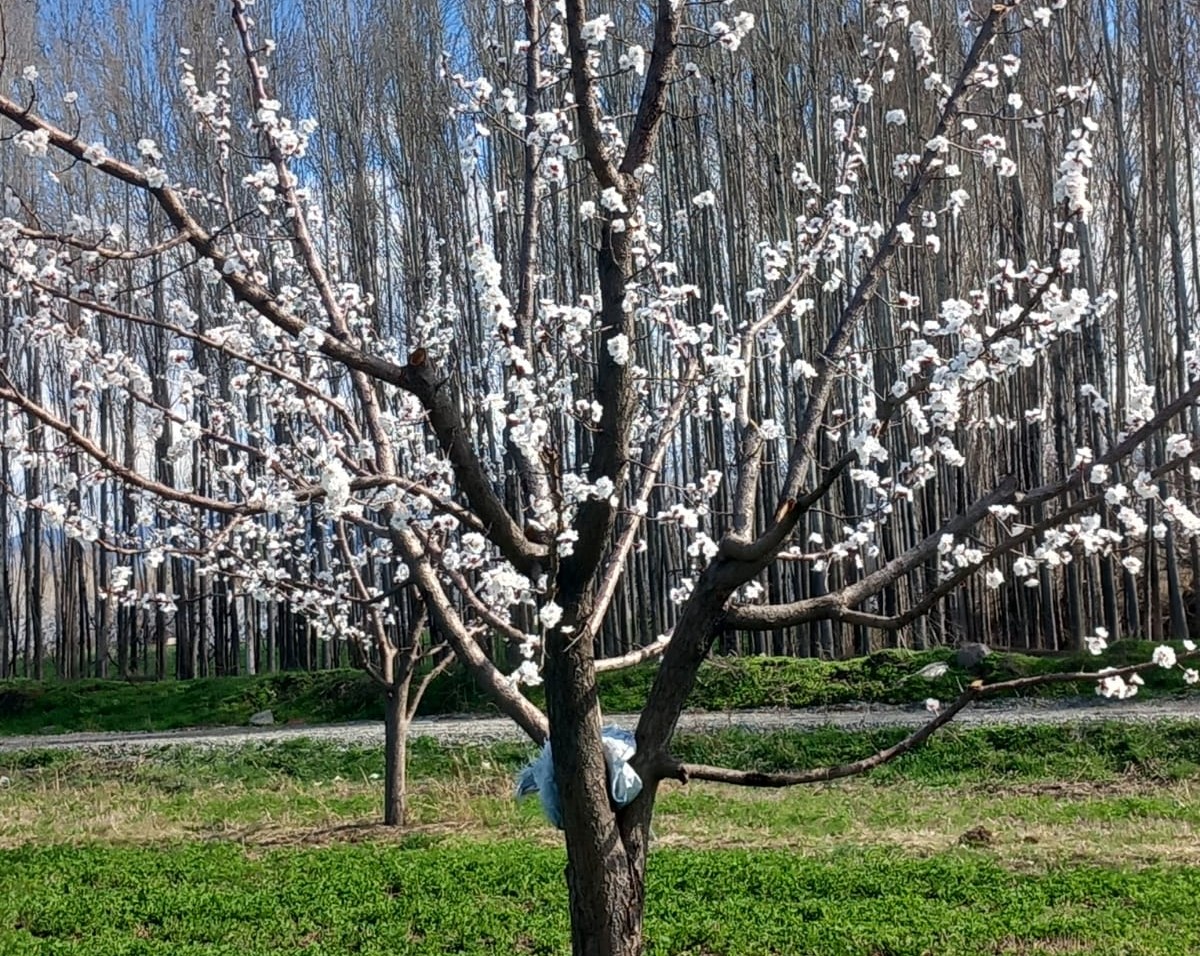IĞDIR İL TARIM VE ORMAN MÜDÜRLÜĞÜ tweet media