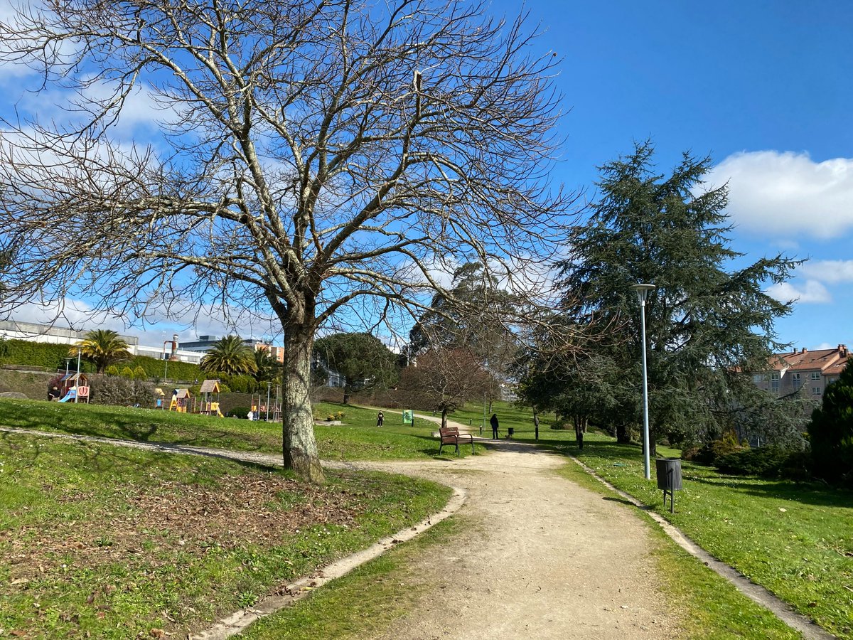 Compostela Verde 🌿 tweet media