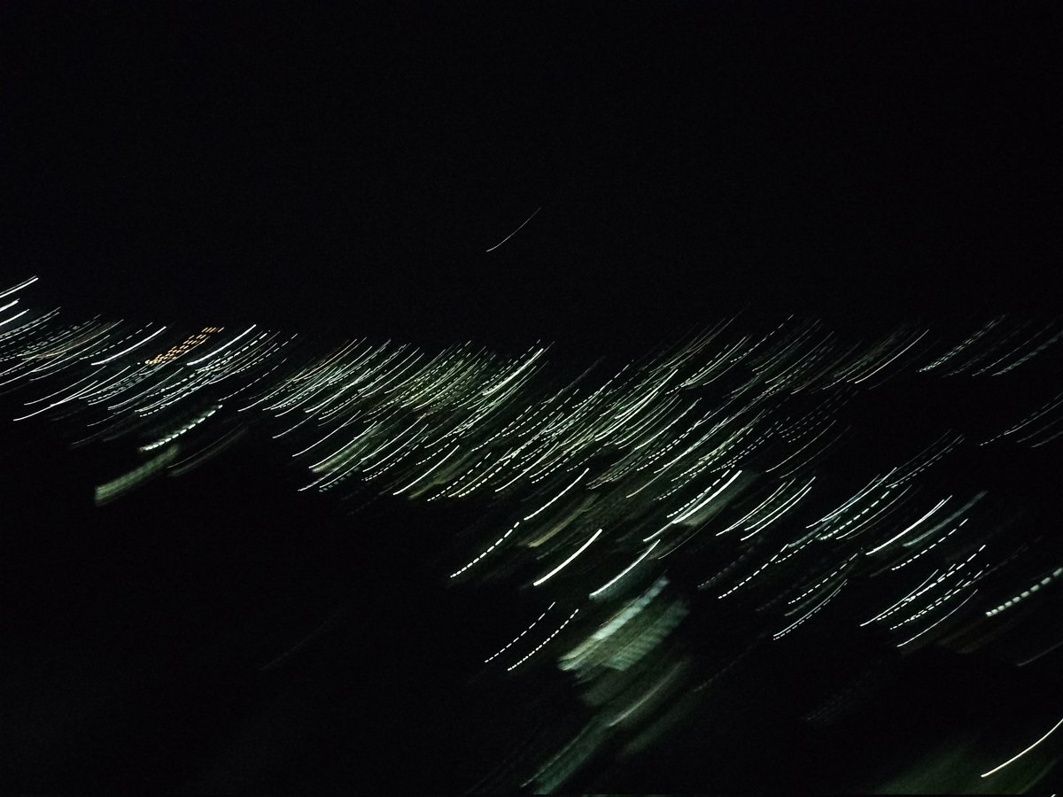 wiwiwiwi tweet media