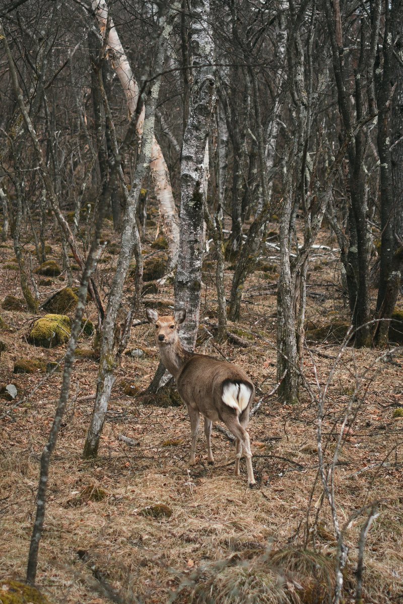 高木康行/YasuyukiTakaki tweet media