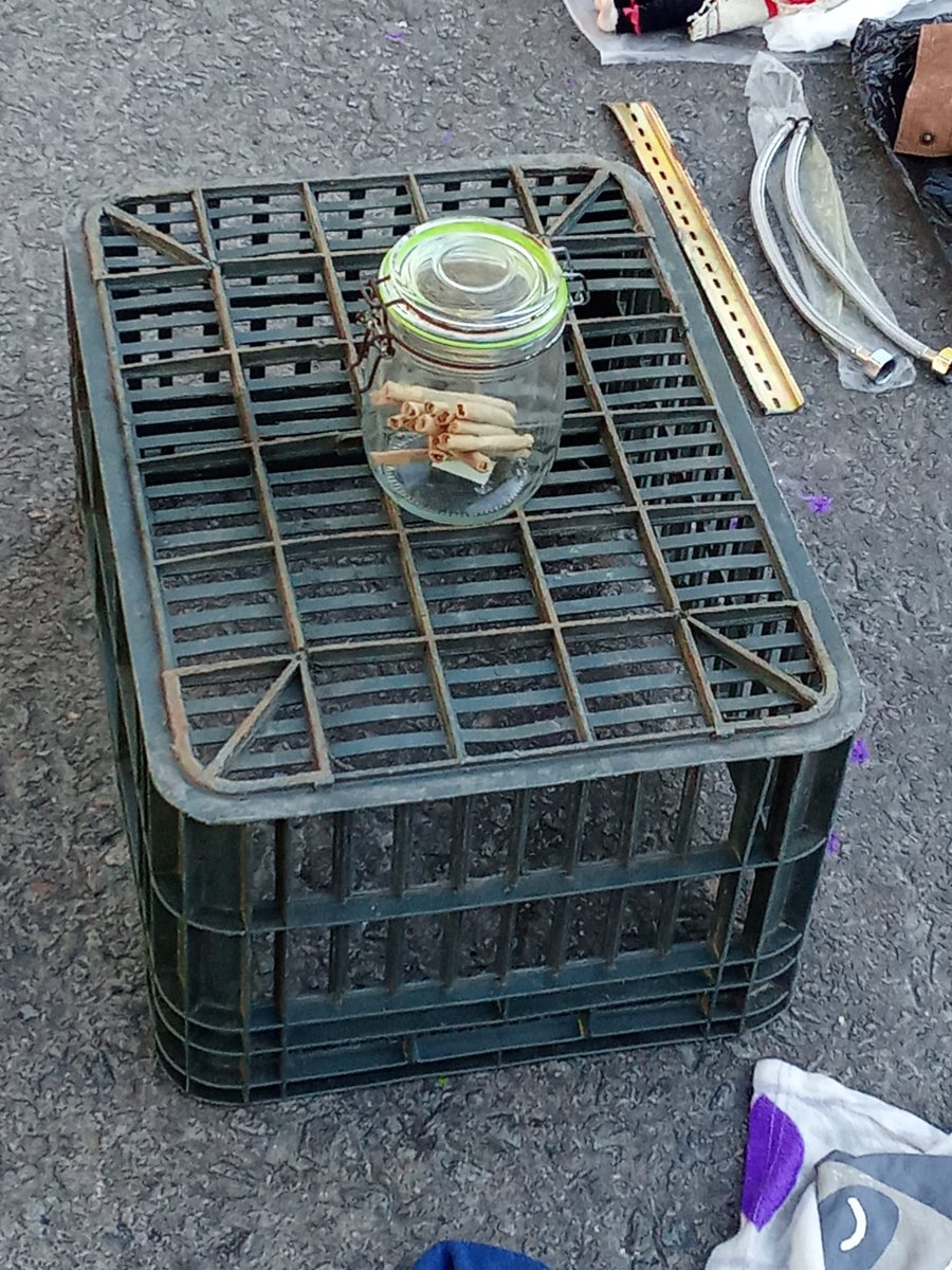 ariel rossetti tweet media