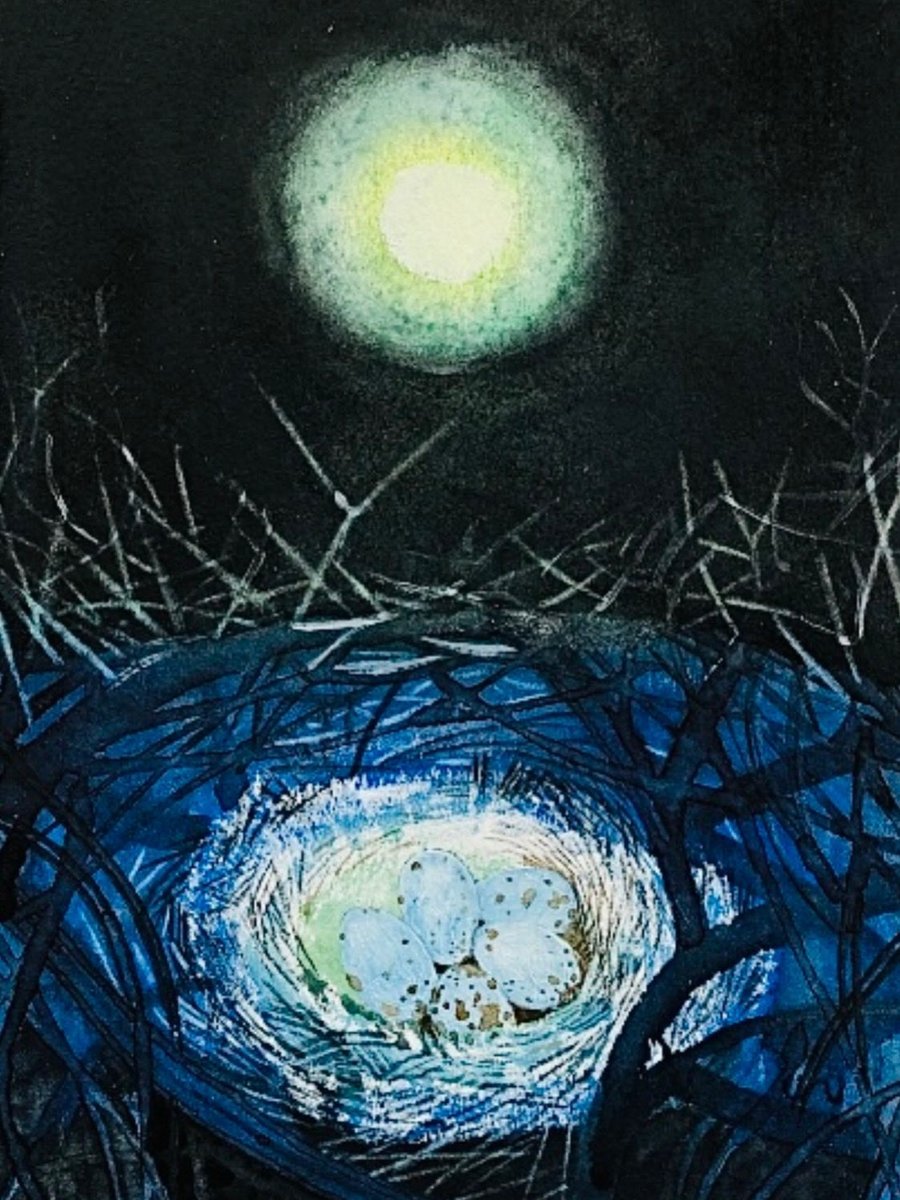 Liza Adamczewski or the accidental ecologist tweet media