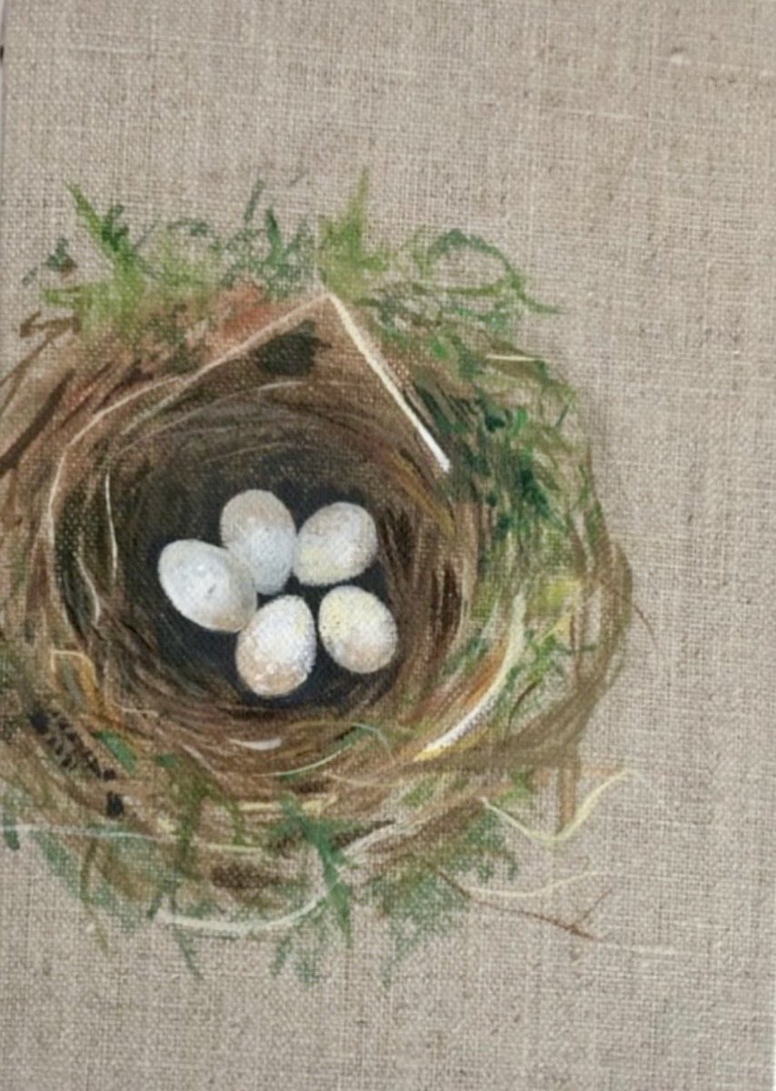 Liza Adamczewski or the accidental ecologist tweet media