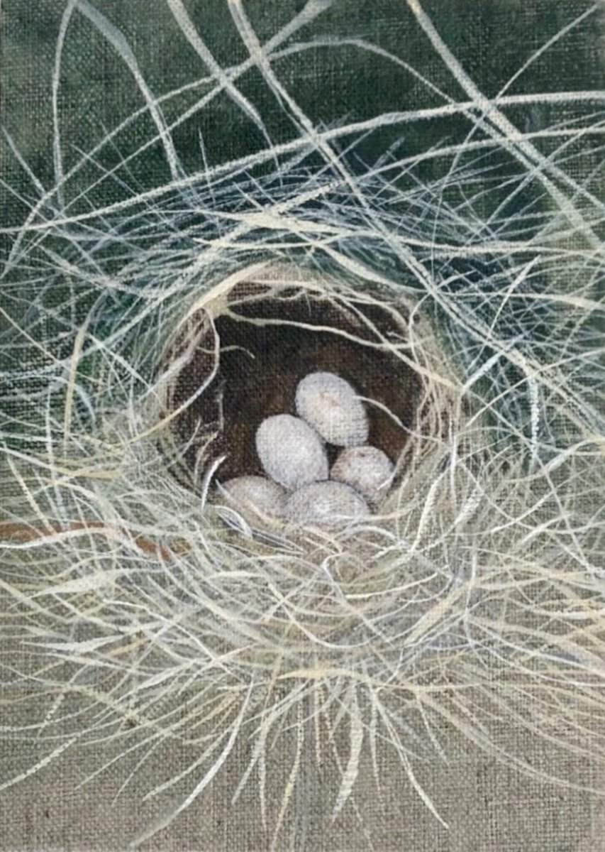 Liza Adamczewski or the accidental ecologist tweet media