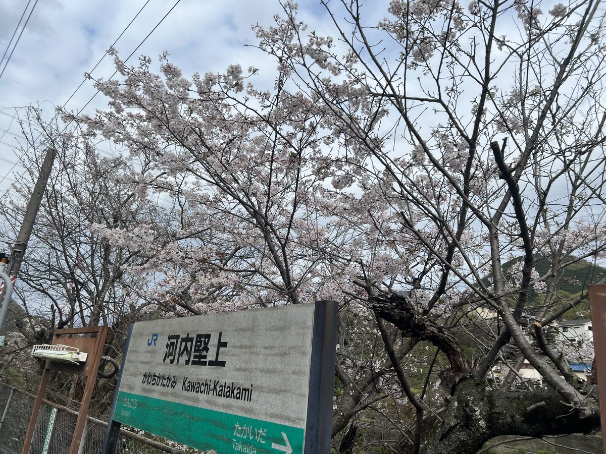 しんじ2 tweet media