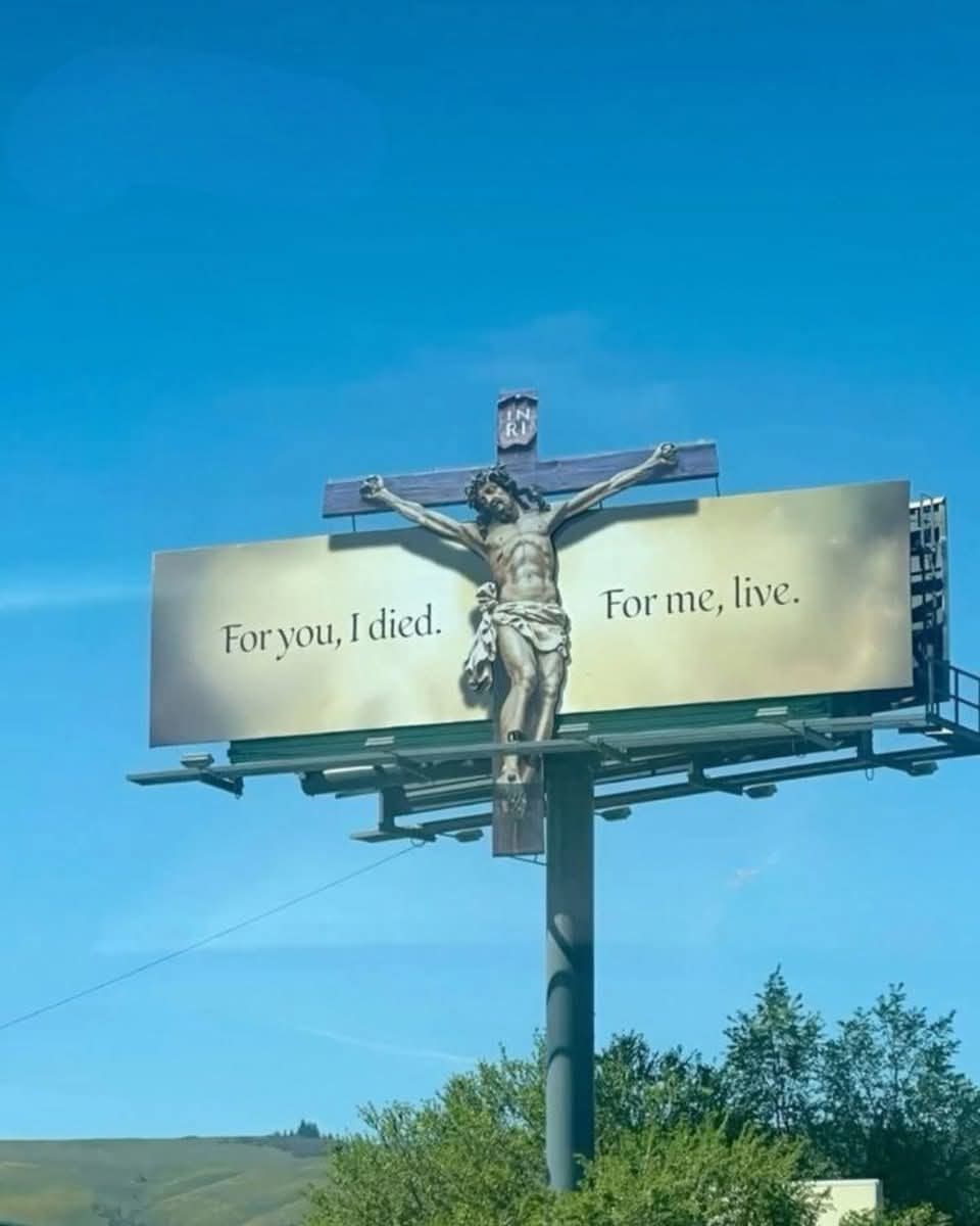 Trad West tweet media