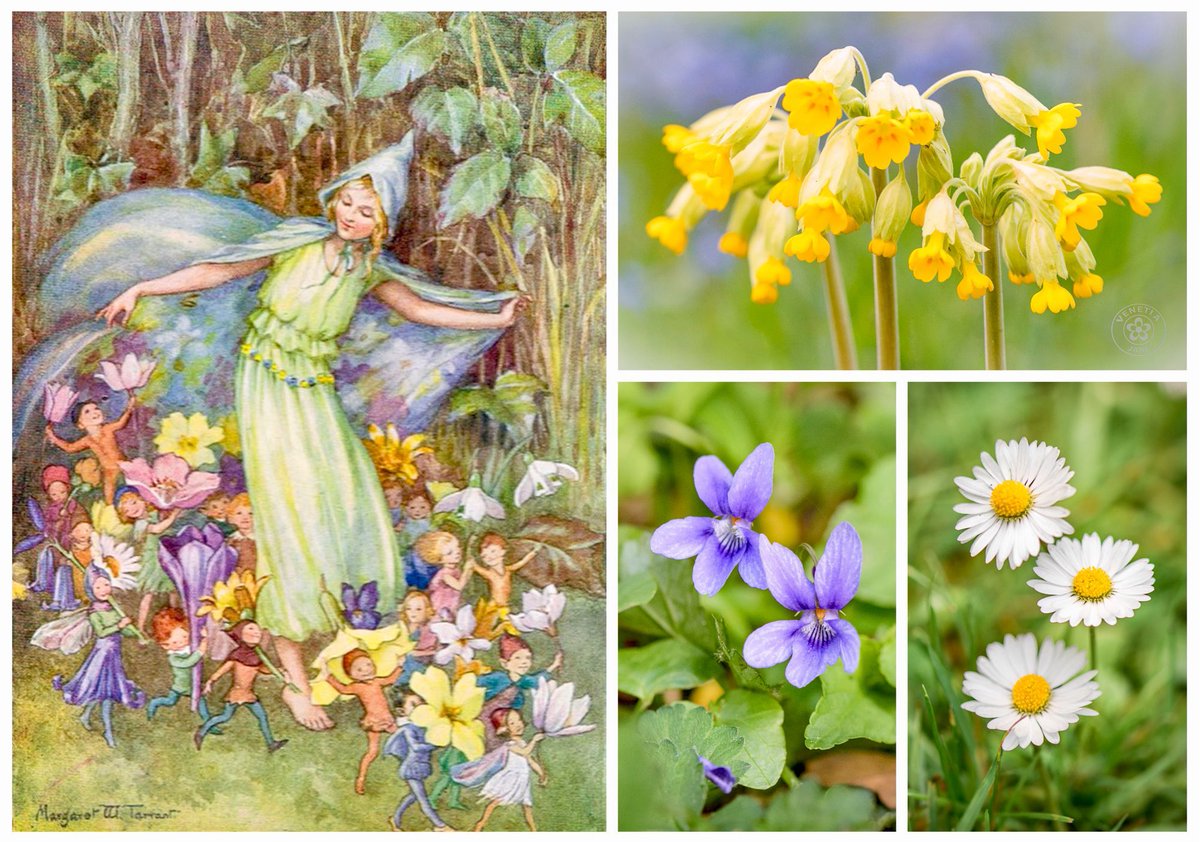 VenetiaJane's Garden tweet media