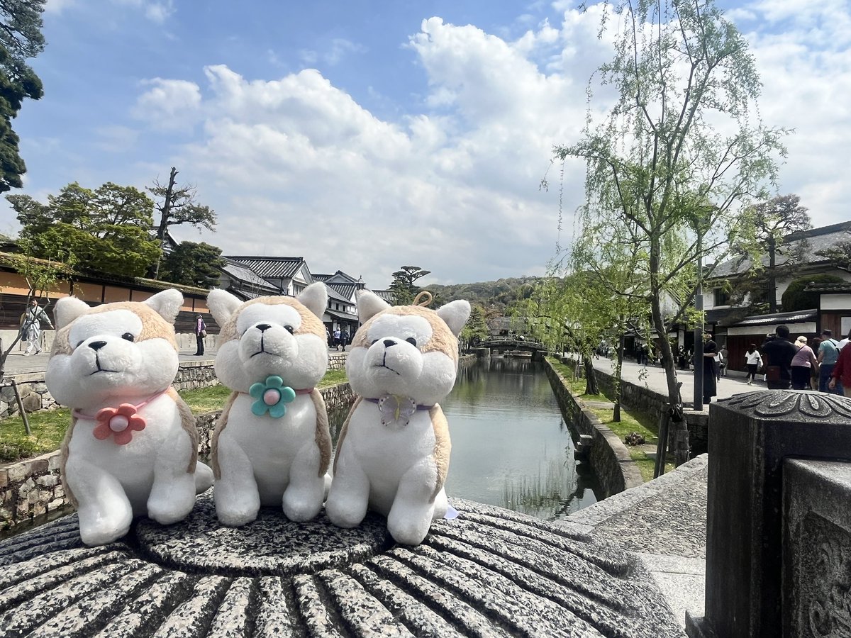 津田🍞 tweet media