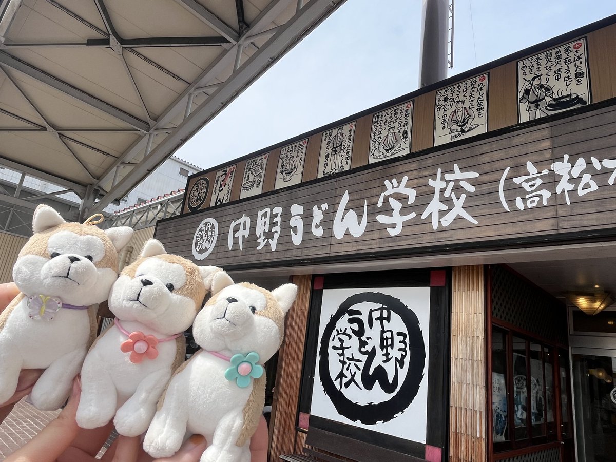 津田🍞 tweet media