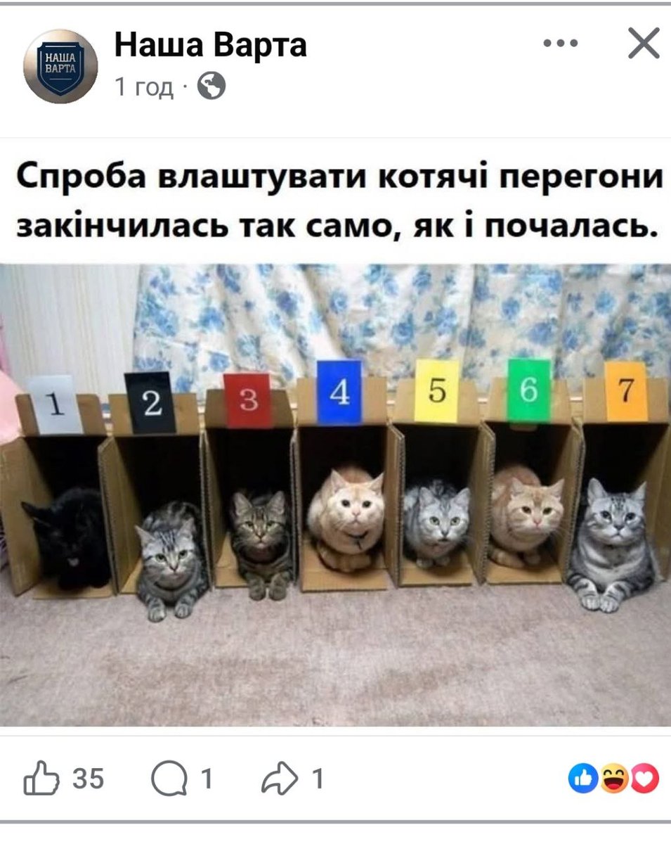 пуся-дестройєр tweet media