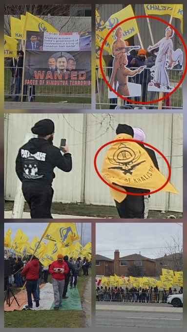 Tim Somerwille tweet media