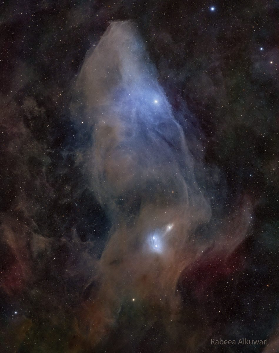Swetilein1's tweet image. 'IC 4592: The Blue Horsehead Reflection Nebula'
Image Credit &amp;amp; Copyright: Rabeea Alkuwari
apod.nasa.gov/apod/ap260407.…
 #astronomy #space