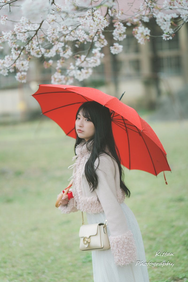 きったん tweet media