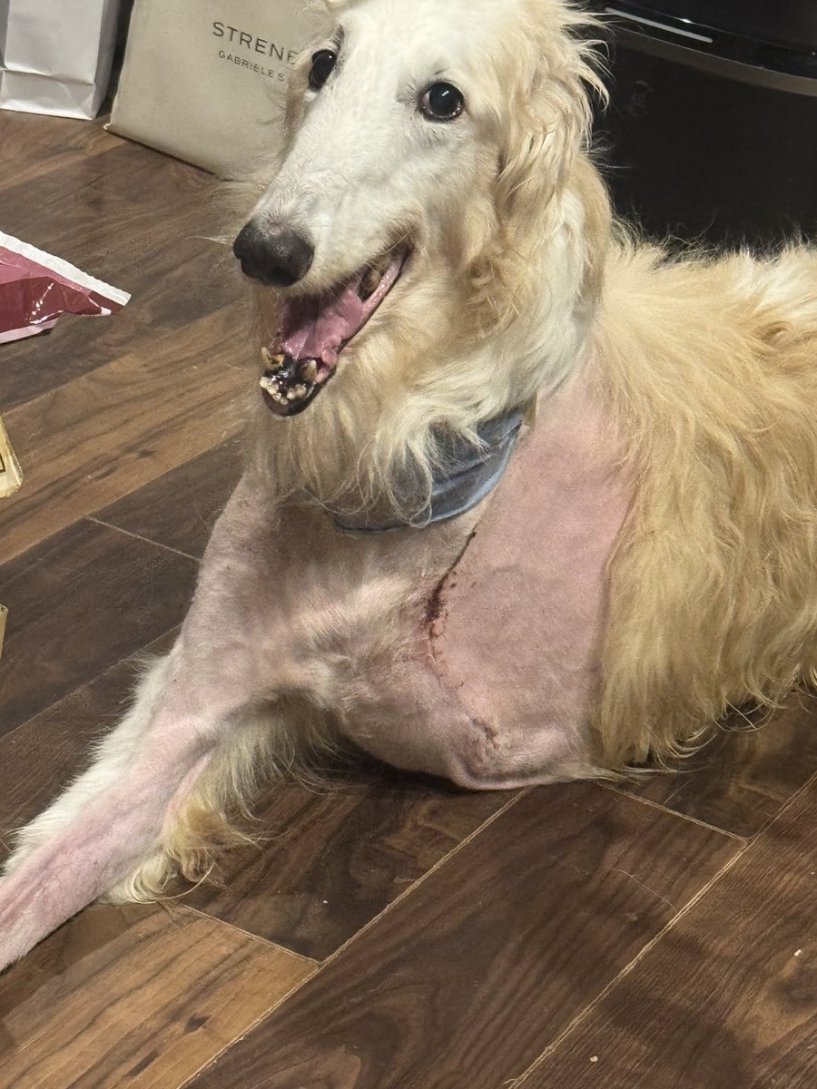 ヒビキ@1年と少し tweet media